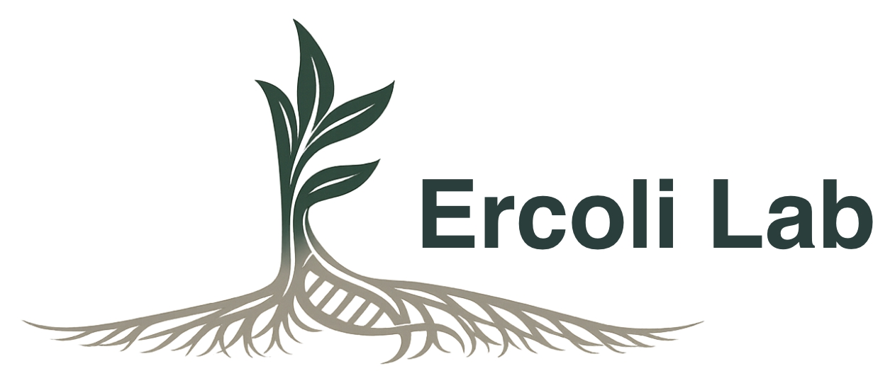 Logo Ercoli Lab